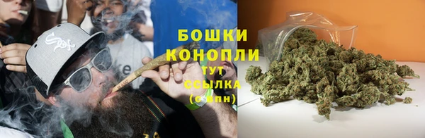 ПСИЛОЦИБИНОВЫЕ ГРИБЫ Горно-Алтайск