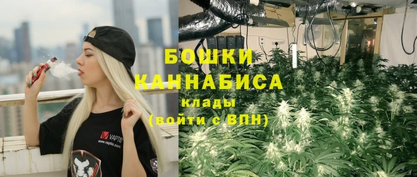 ПСИЛОЦИБИНОВЫЕ ГРИБЫ Горно-Алтайск