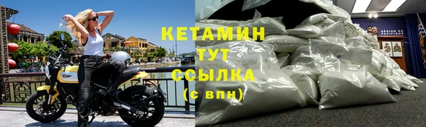 ПСИЛОЦИБИНОВЫЕ ГРИБЫ Горно-Алтайск