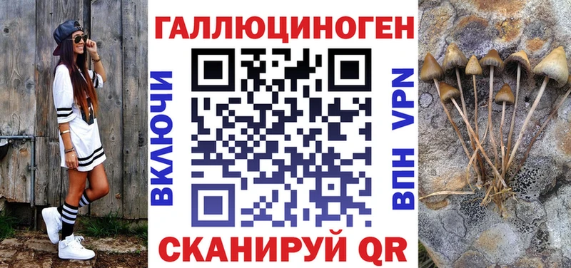 Псилоцибиновые грибы Psilocybe  Видное 