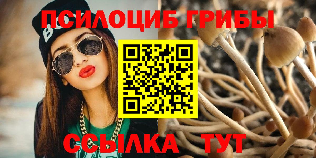 Видное  Галлюциногенные грибы Magic Shrooms  Галлюциногенные грибы MAGIC MUSHROOMS  Вход с VPN 