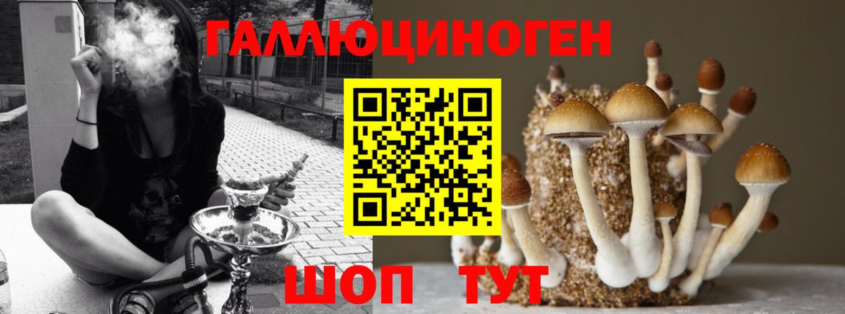 Галлюциногенные грибы мицелий  Галлюциногенные грибы прущие грибы  Видное 