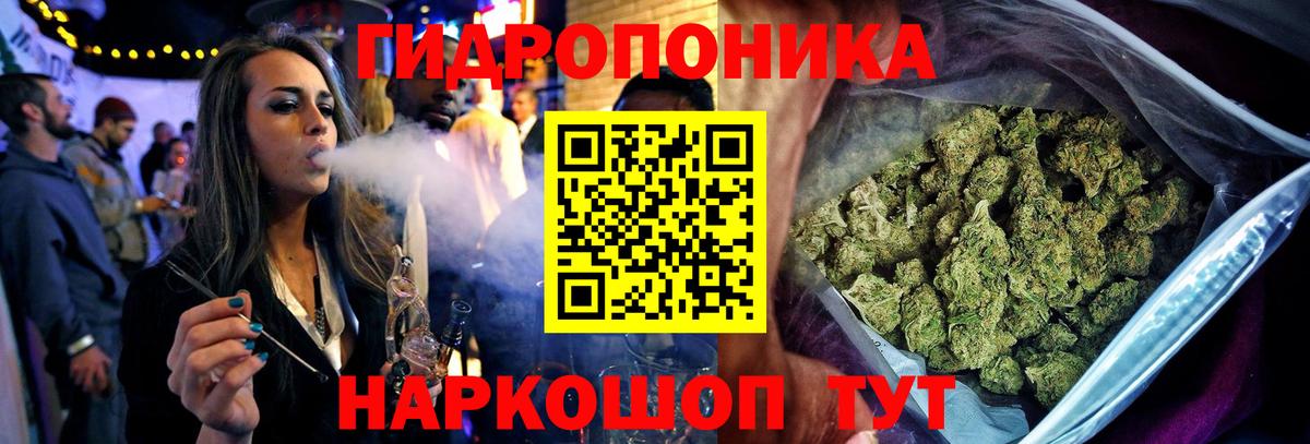 МАРИХУАНА планчик  Конопля Amnesia  Видное  Марихуана MAZAR  Вход с VPN 