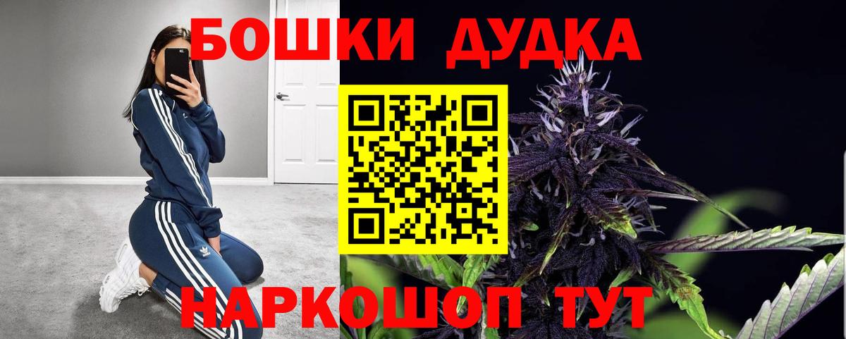 Марихуана сатива Видное